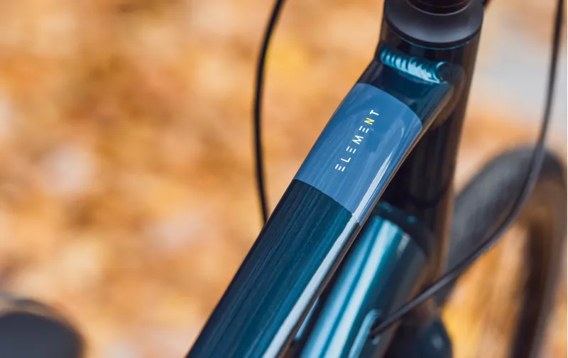 ridgeback element 2020 review