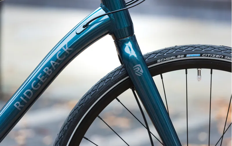 ridgeback element 2020 review