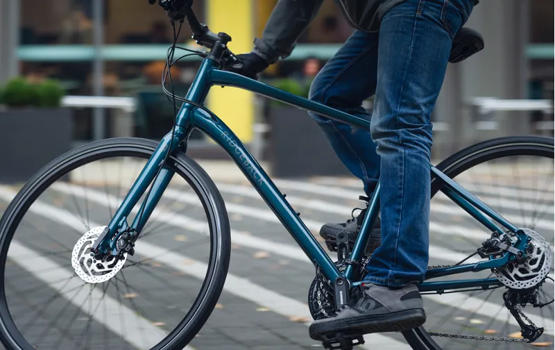 ridgeback element 2020 review