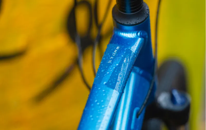 ridgeback storm 2020 review