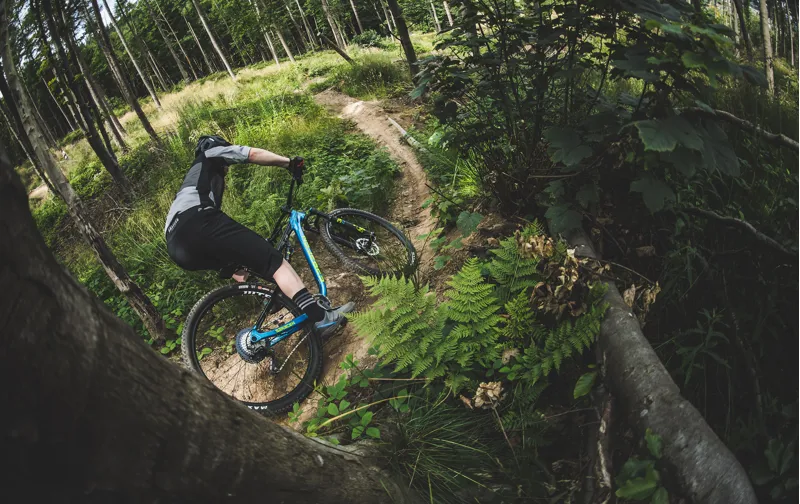 saracen ariel elite 2019
