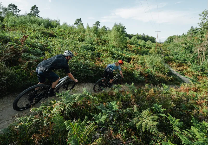 Whyte 529 29er 2024 Hardtail Mountain Bike - Matt Olive-9