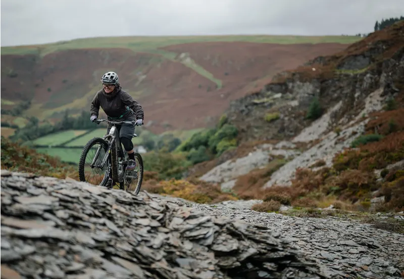 Whyte E-Lyte 150 RSX 29er 2024 Electric Mountain Bike - Gloss Silver-12