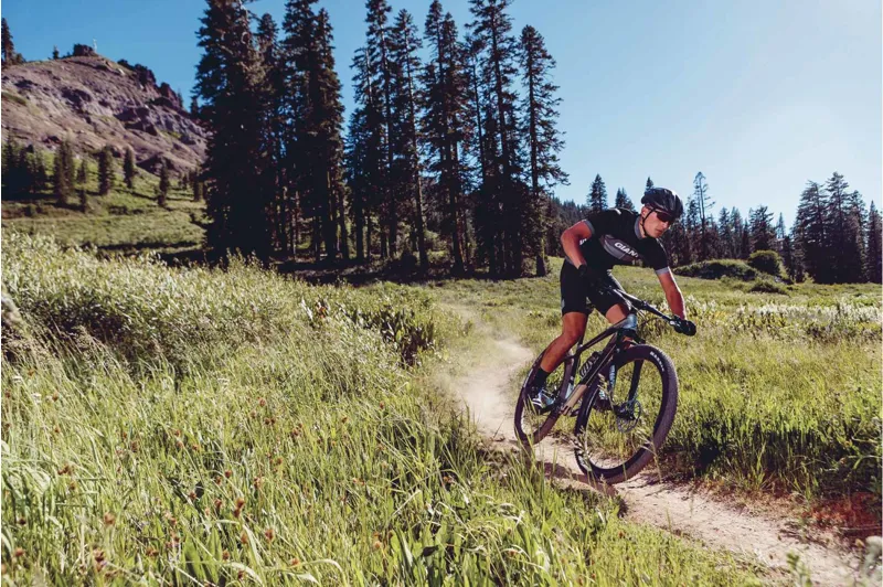 Giant XTC Advanced 29er 1 2019 Hardtail Mountain Bike - Rainbow Silver-1